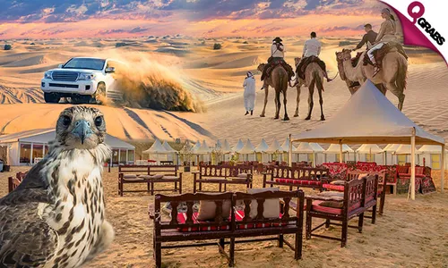Overnight OR Full-Day Camping with BBQ at Sealine!